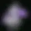 Purple Clouds Festival 2025