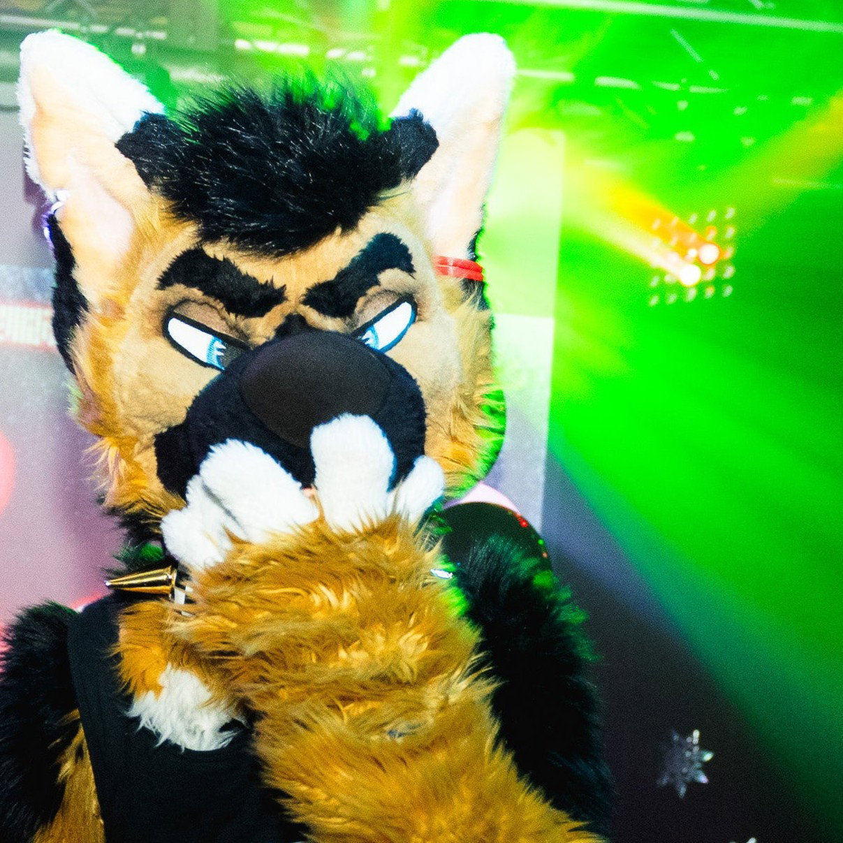 Dat Emo Skunkdog 🔥