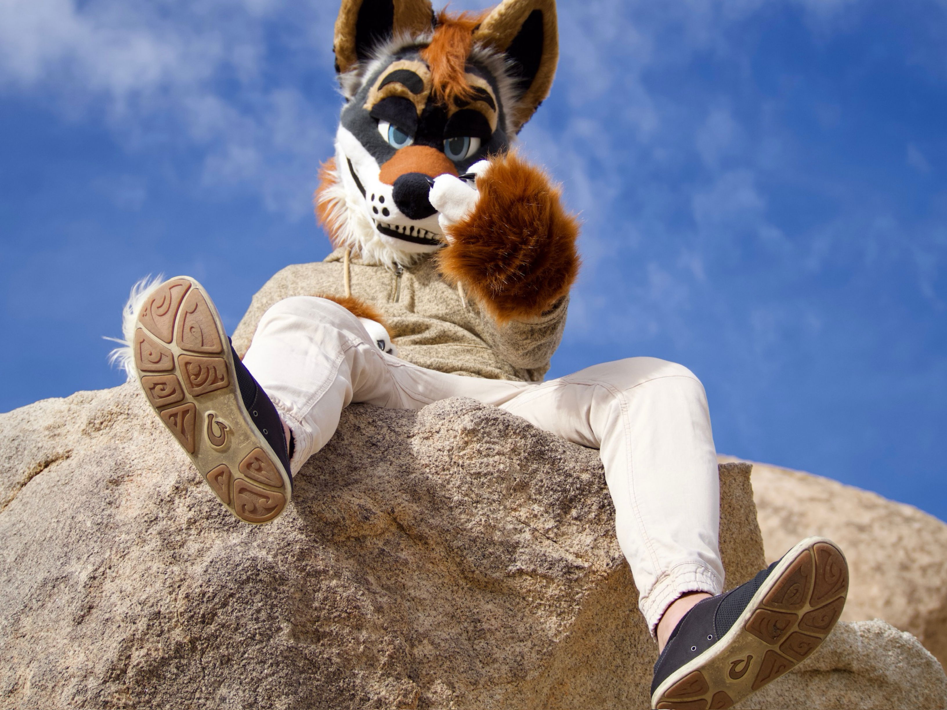 Edit The 🦊@ FWA