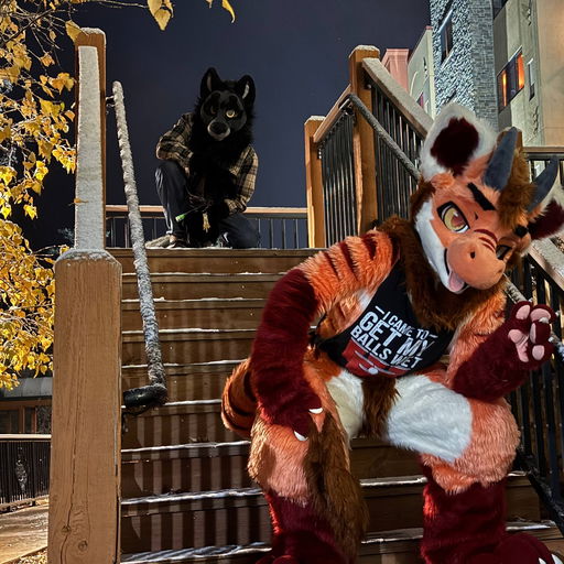 A Hecking Boofer 🔜 MFF