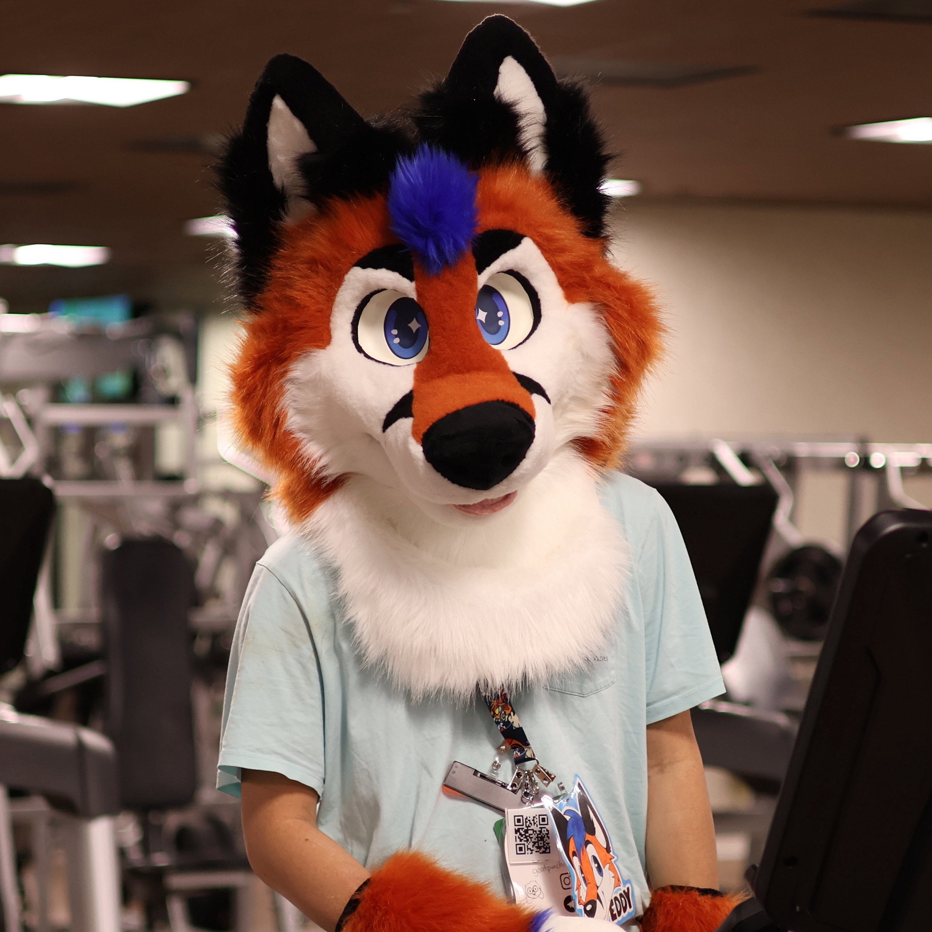 Eddy 🦊 🔜 DenFur