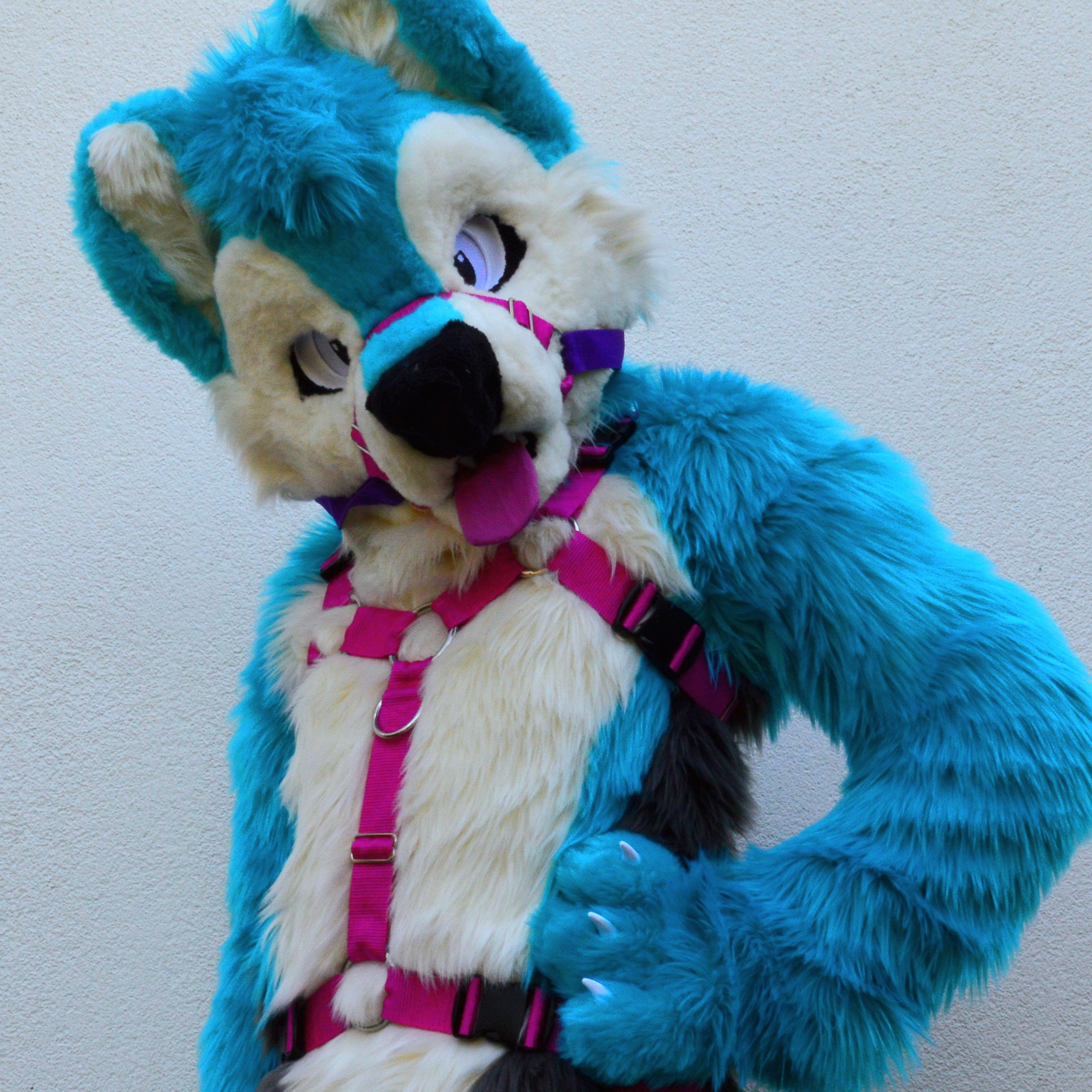 Jondrethefurry 