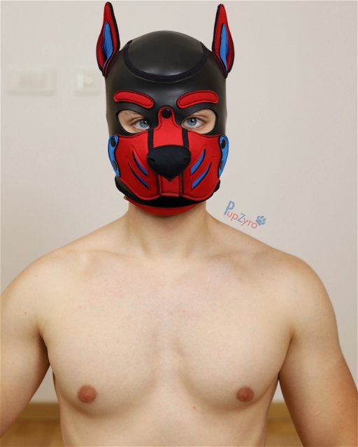 Pup Zyro