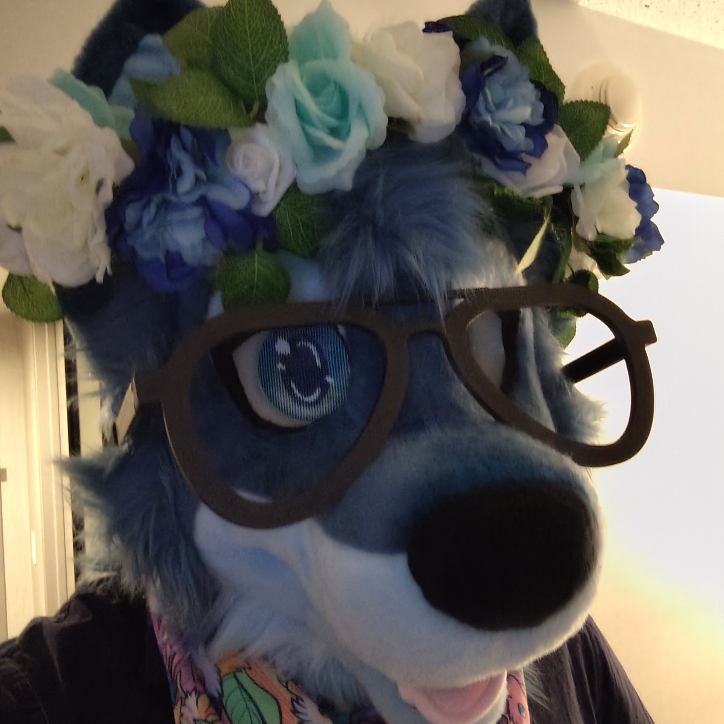 Blue an Floofy ✨ 