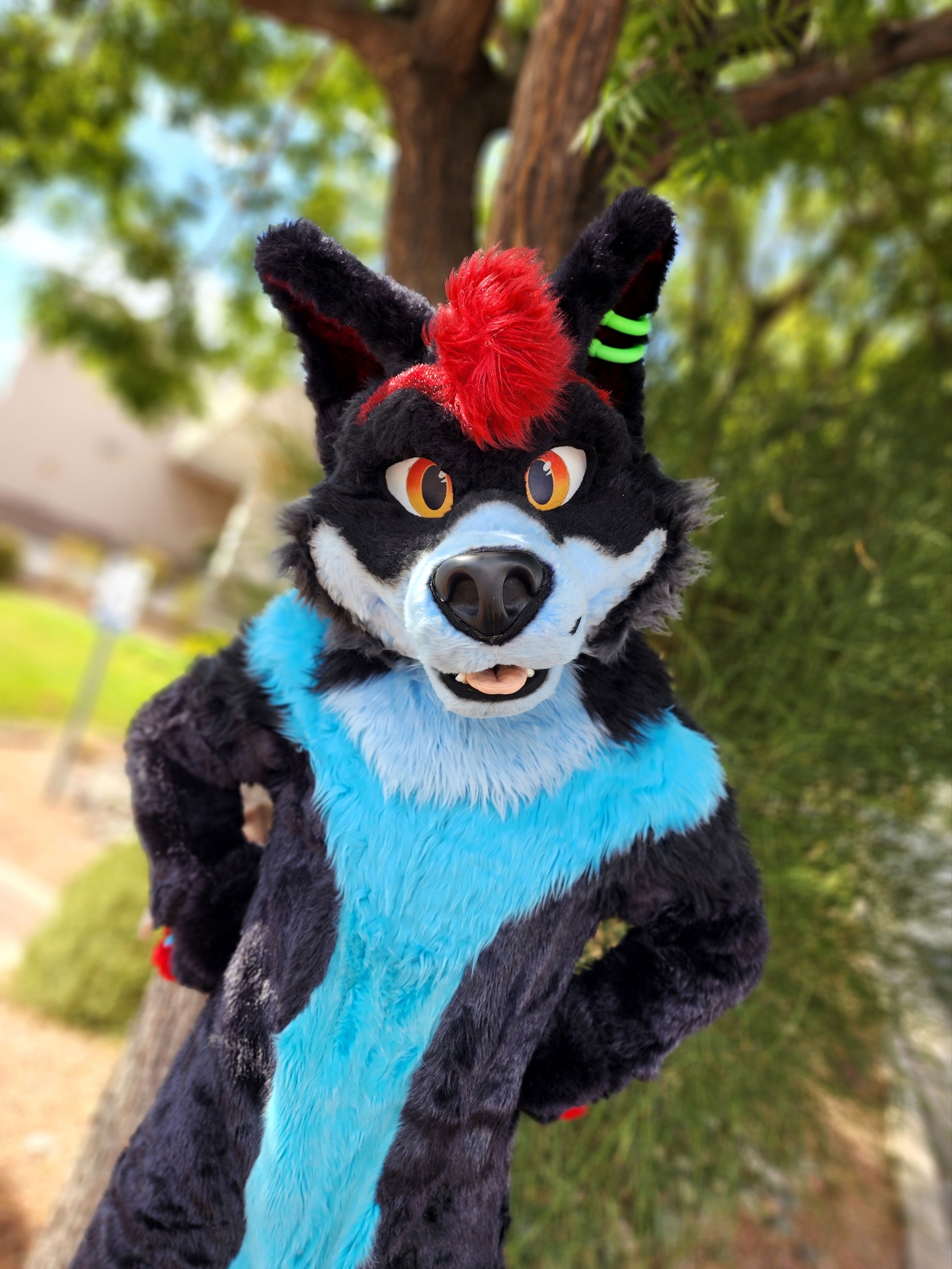 Jai Wolf is off to Guatemala!