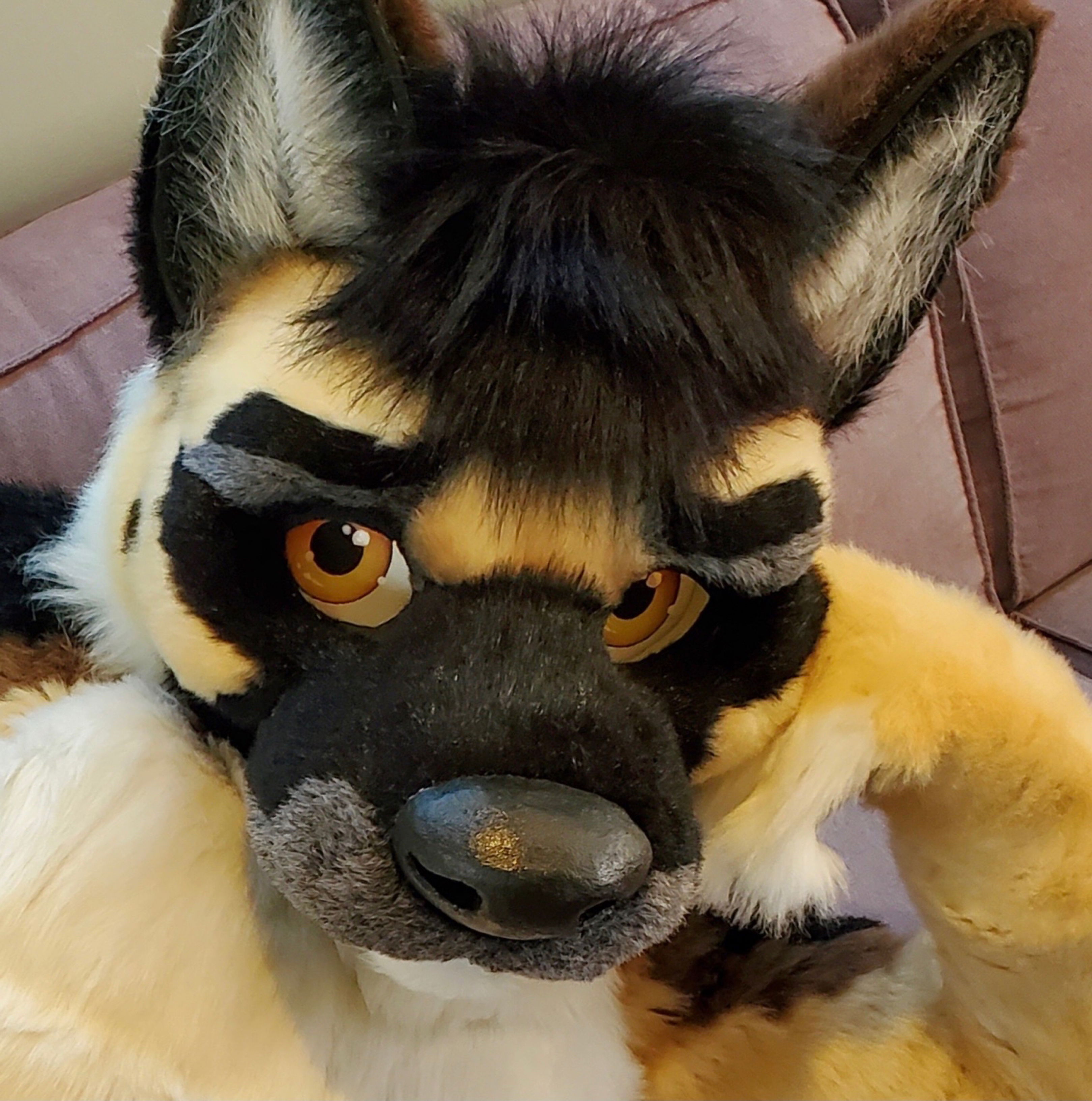Nitro 🔜 Furrest, WildFur ⛺️