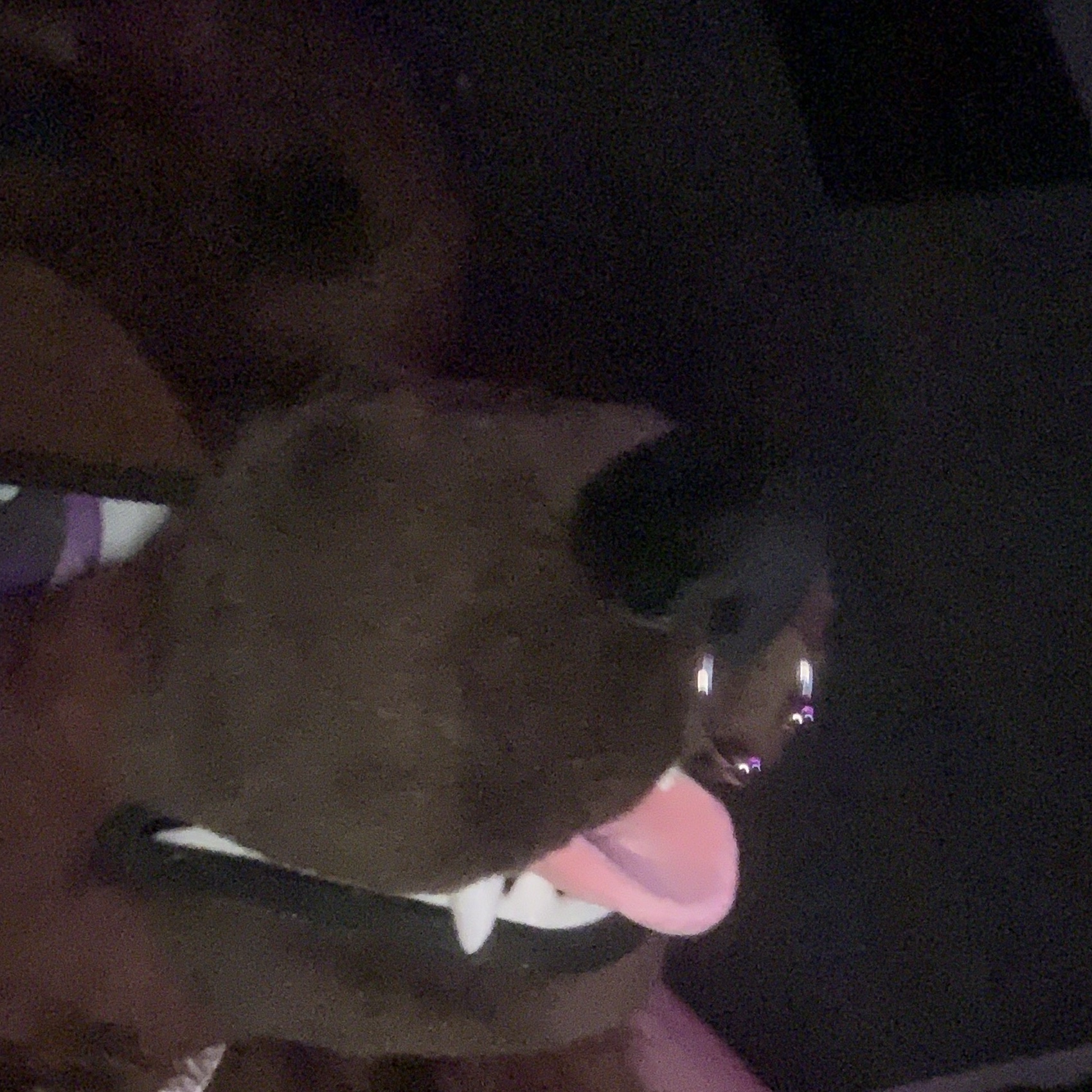 Rexyfuzz⟡💫 🔜 𝐸𝐹𝟥1