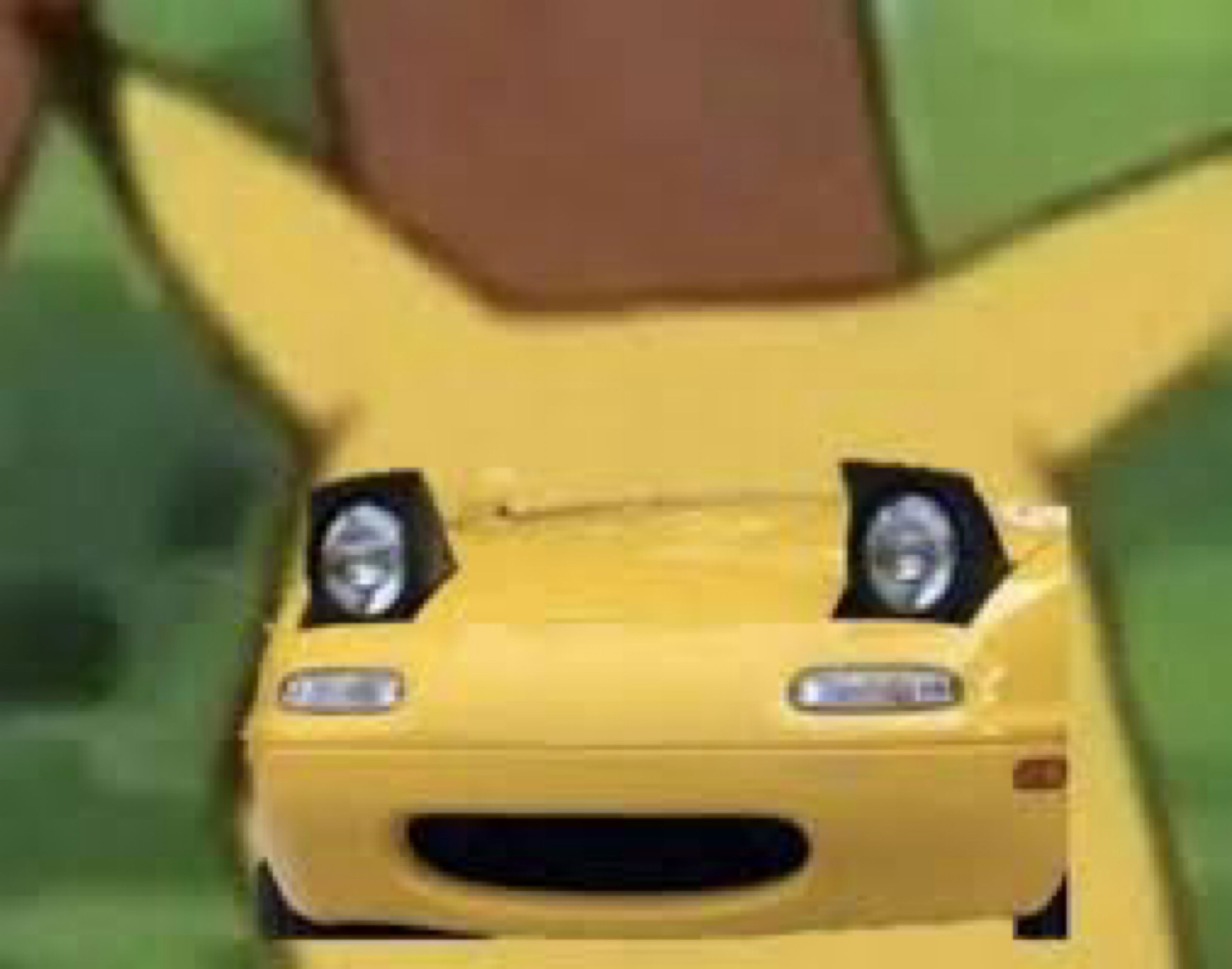 Miata furs