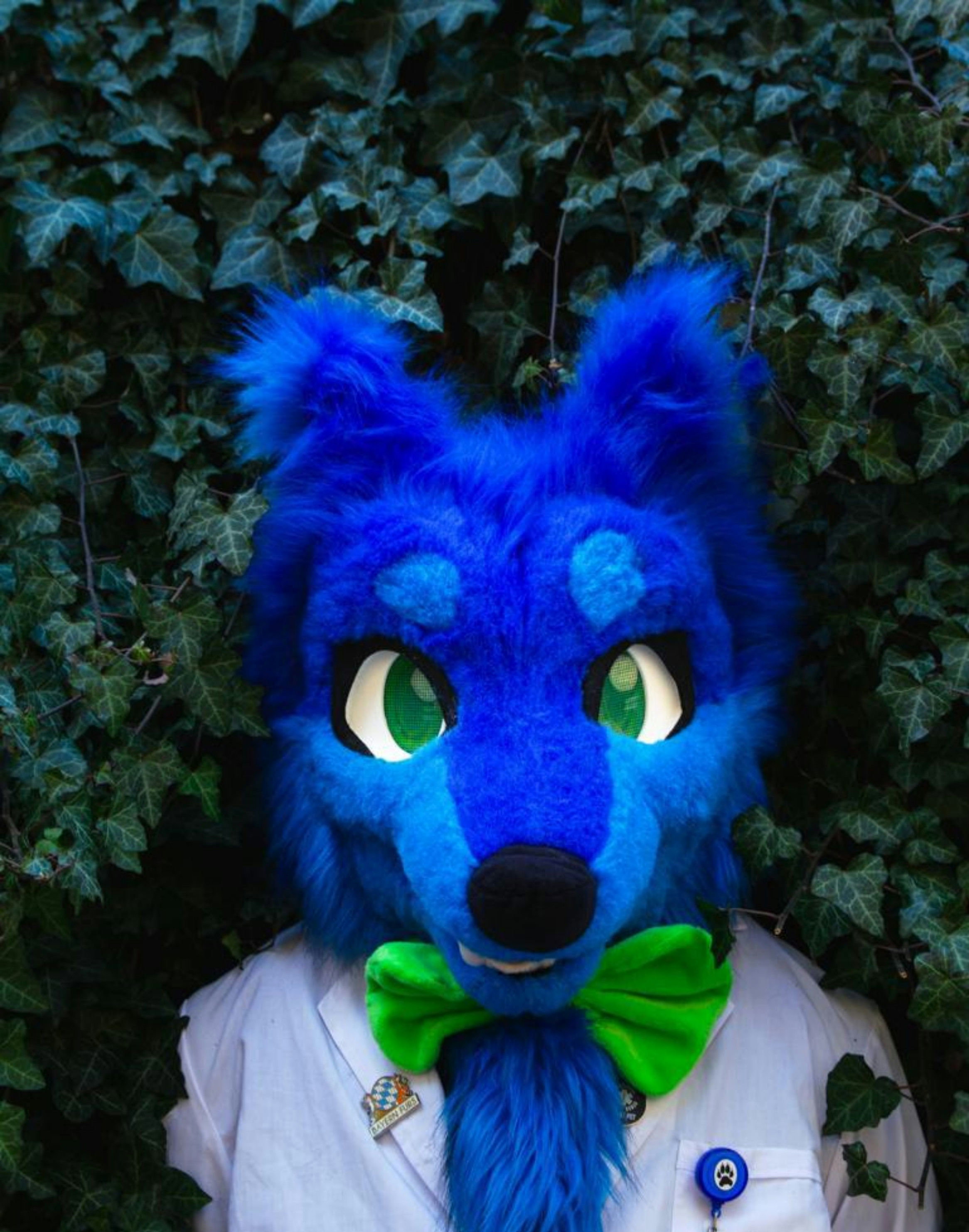 Anisateur 🦊🥼⚗️🥃