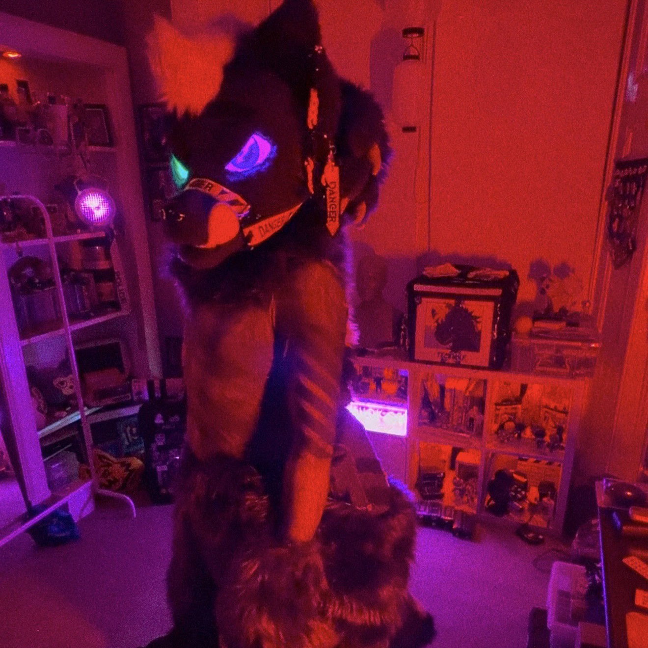 \\ TechWolf //