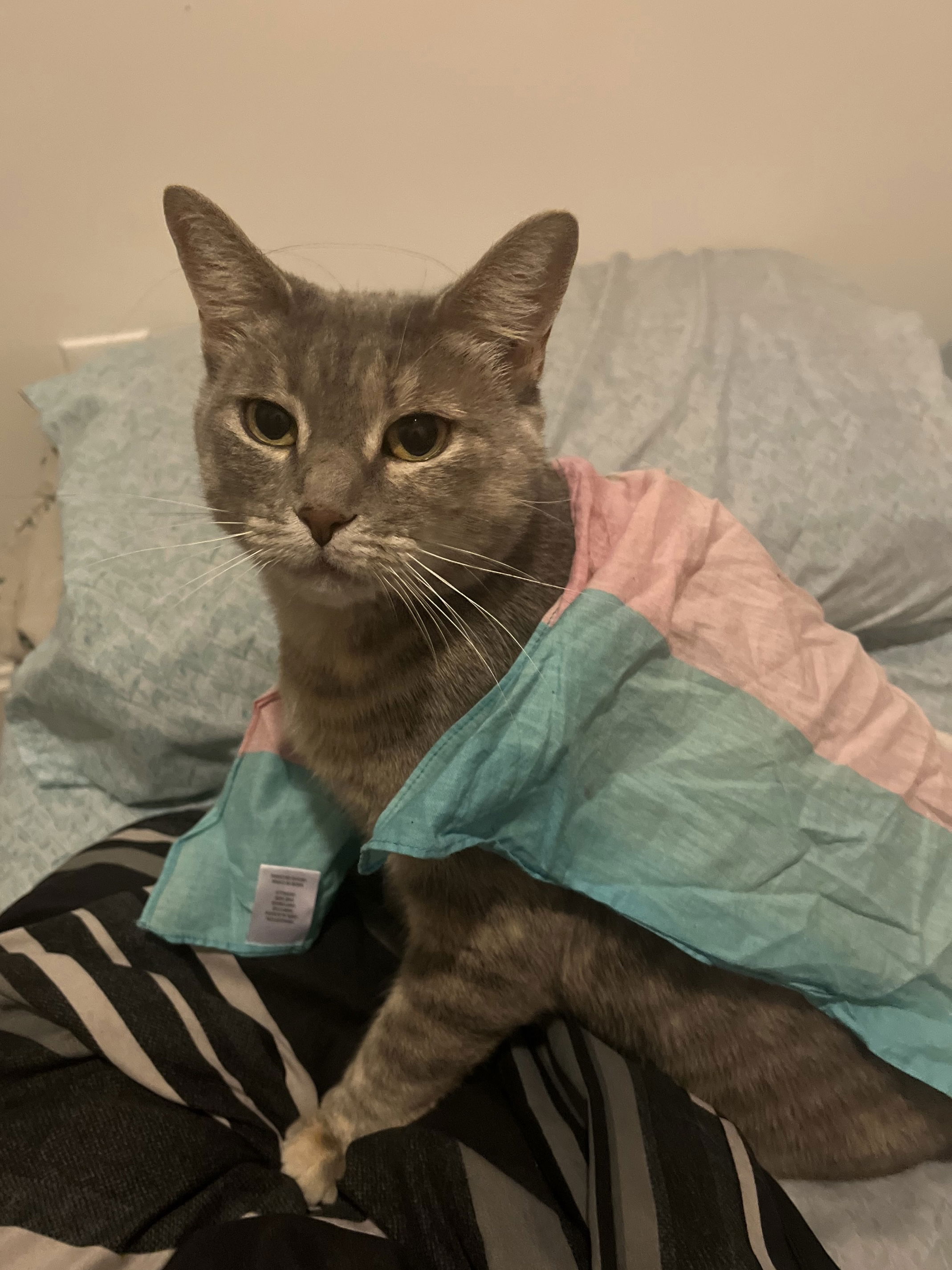 Dulce