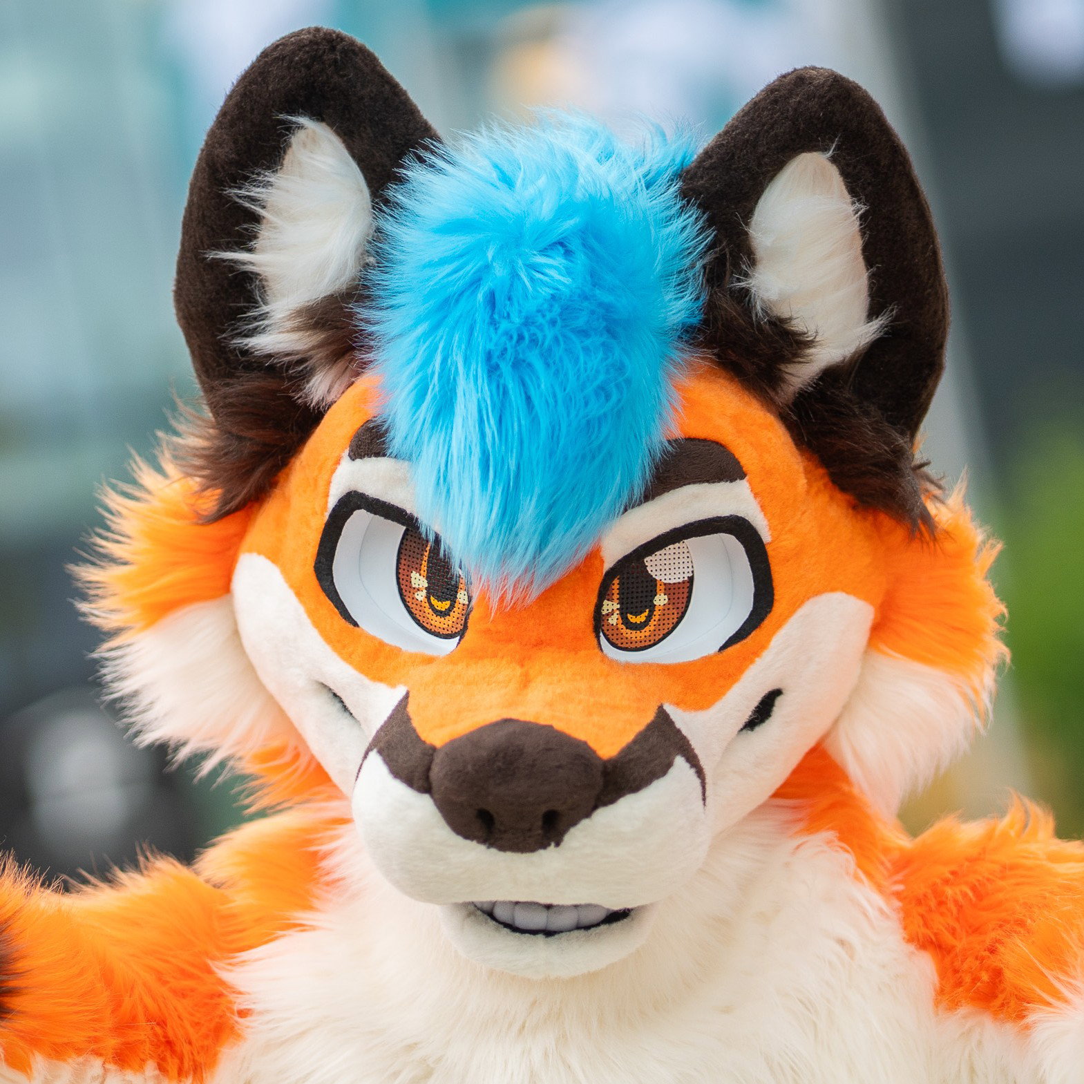 Nyuff 💙🧡