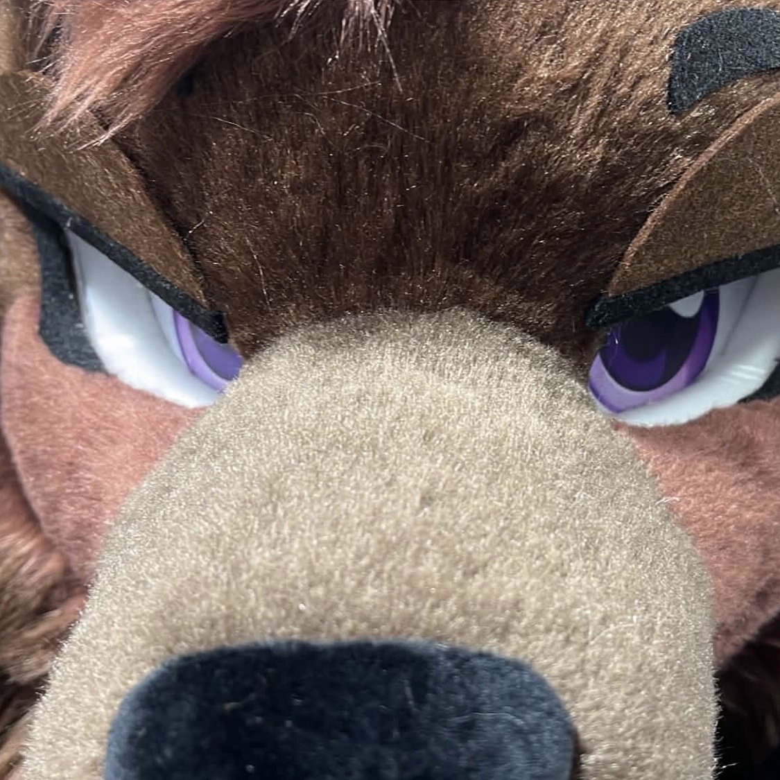 Rexyfuzz⟡💫 🔜 𝐸𝐹𝟥1
