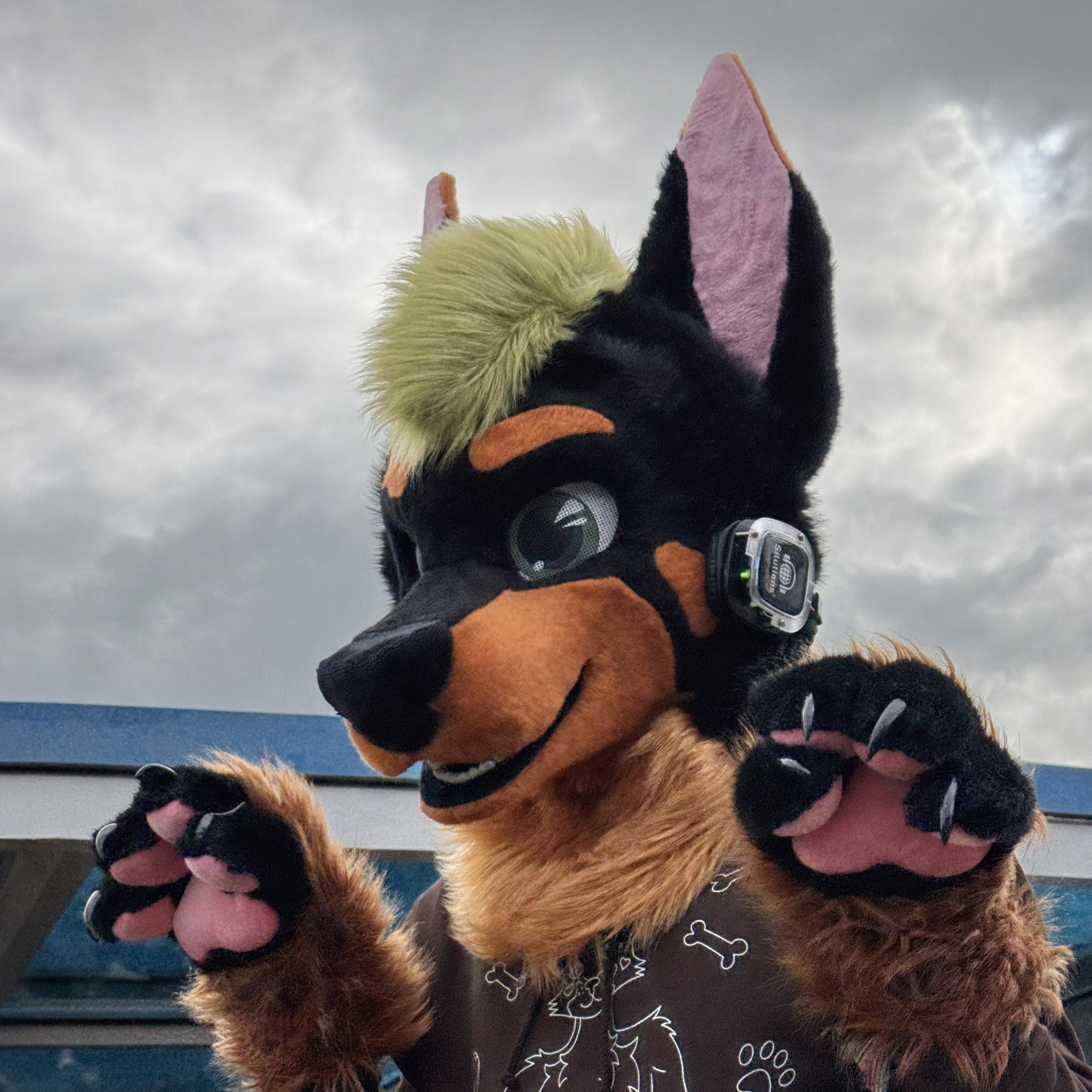 Vernix the Dobie