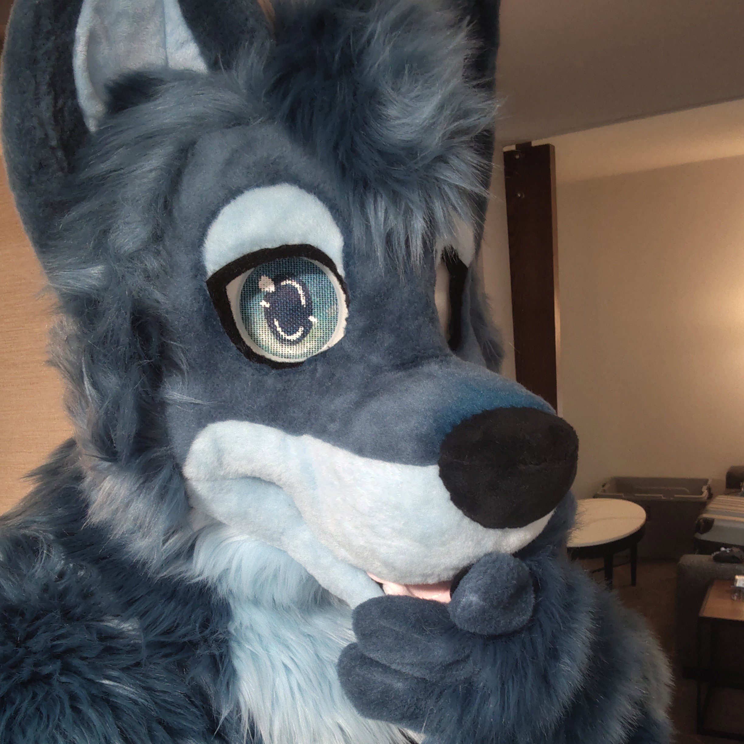 Blue an Floofy ✨ 