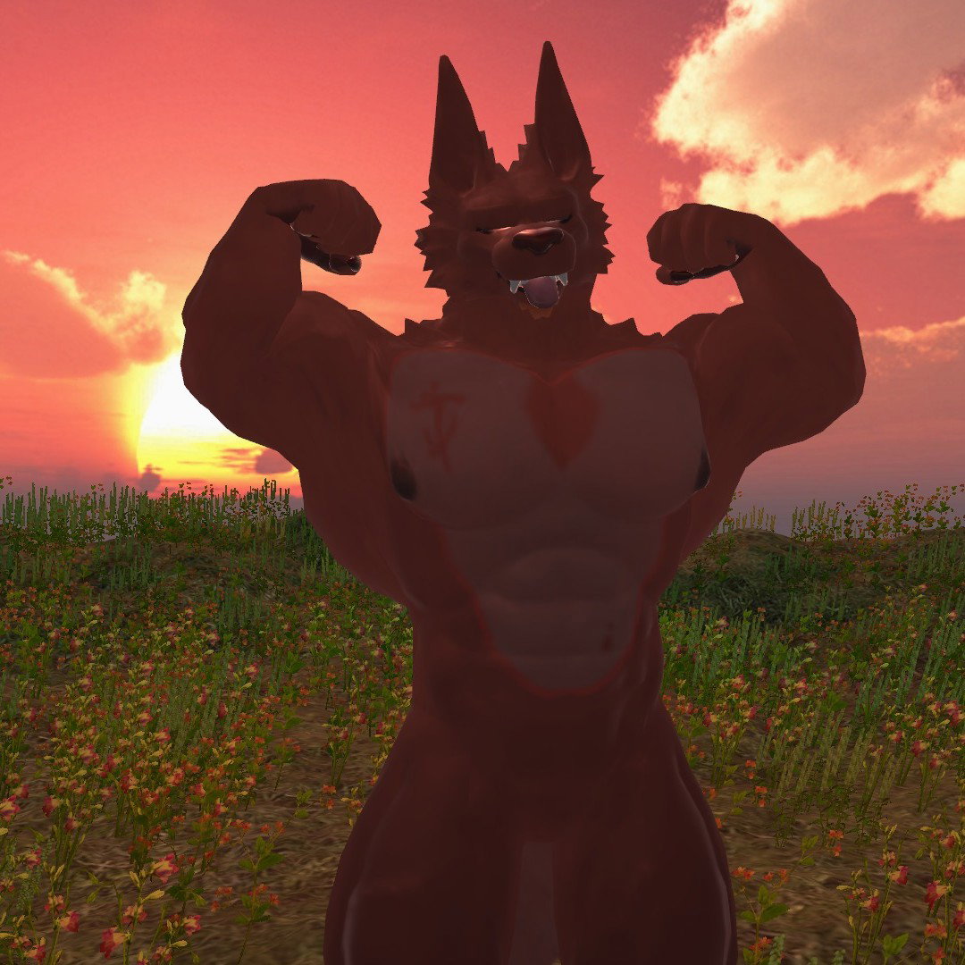 Riderthewerewolf™