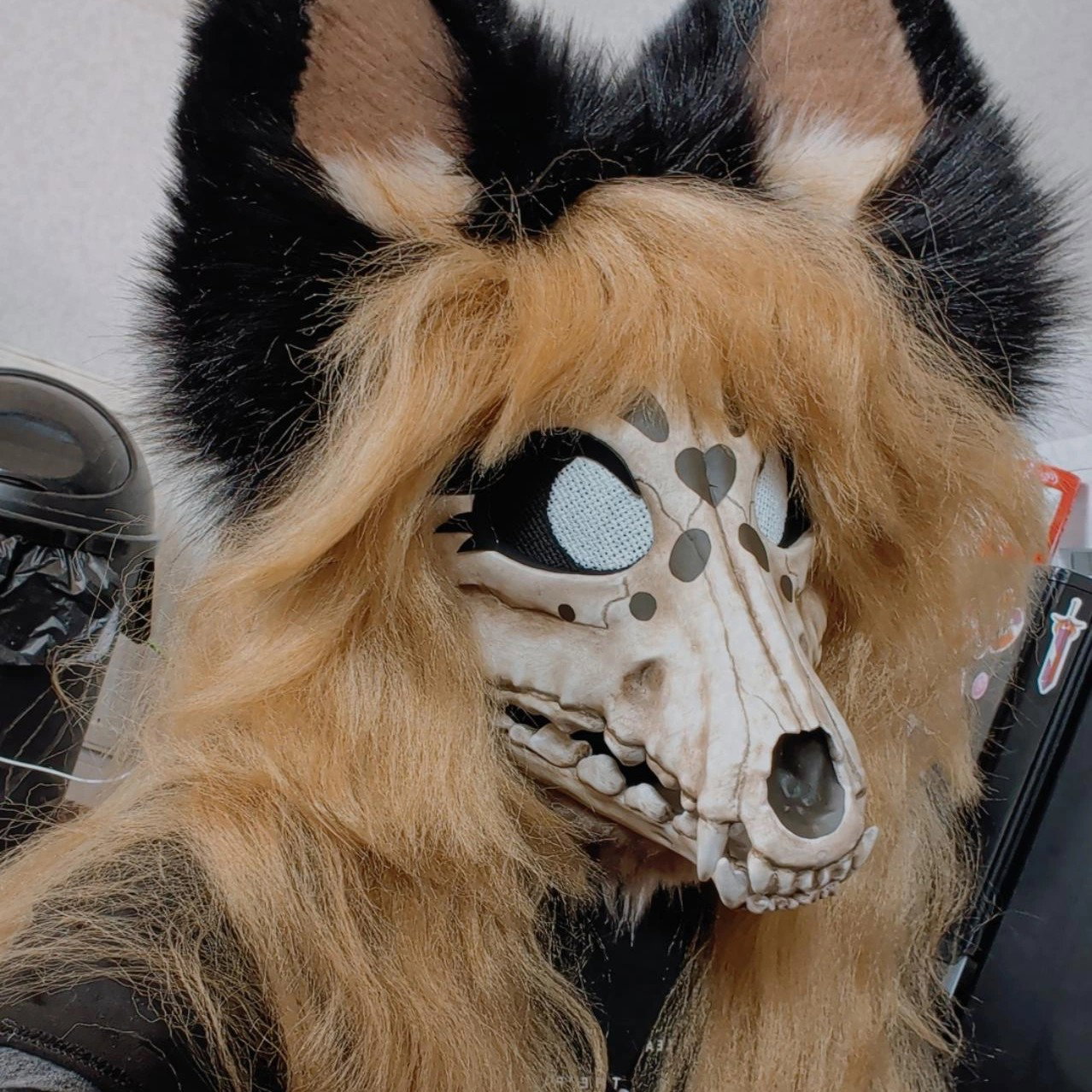 SwampBunny