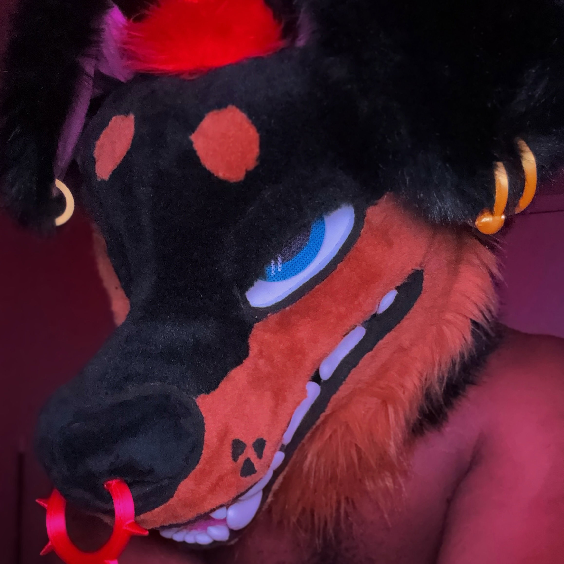 Dusskie 🔜 StratosFur 