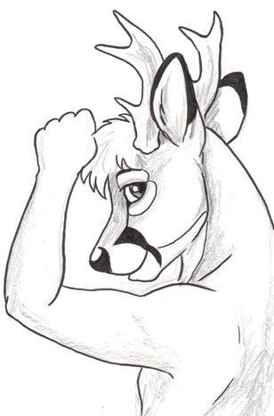 Breed a Buck - FurTheMore ‘26 Edition