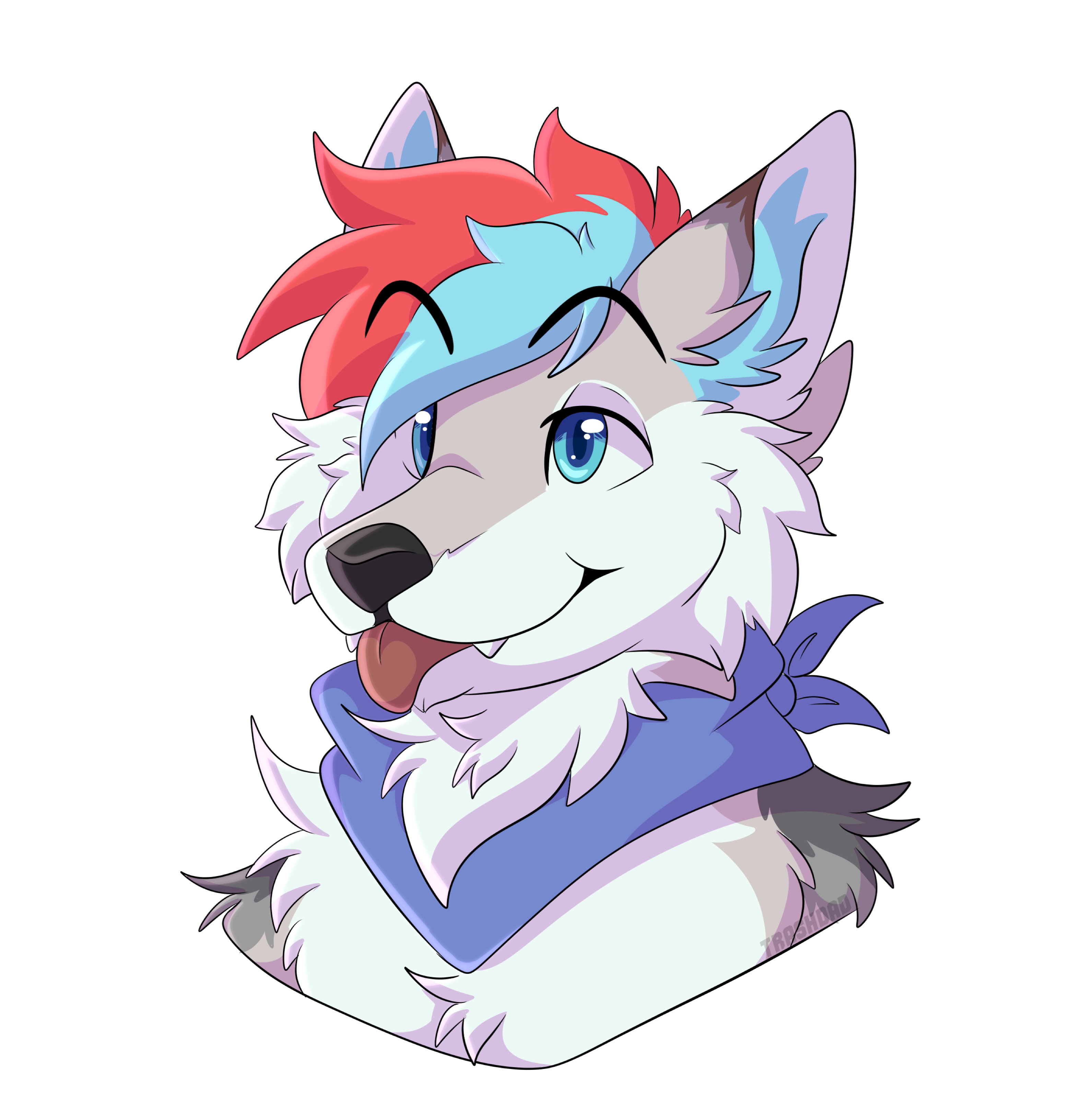 Diegohusky