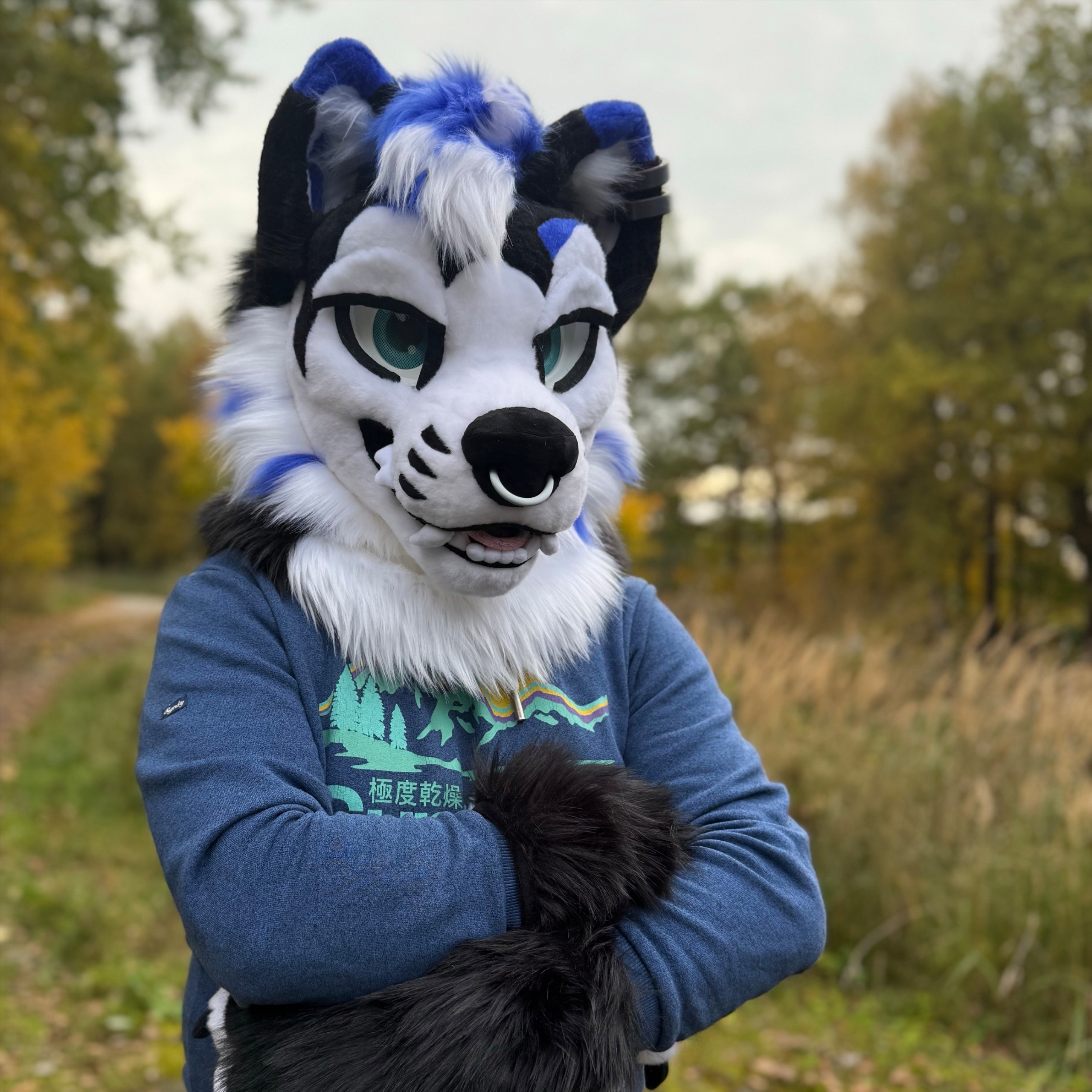 ForceWolf