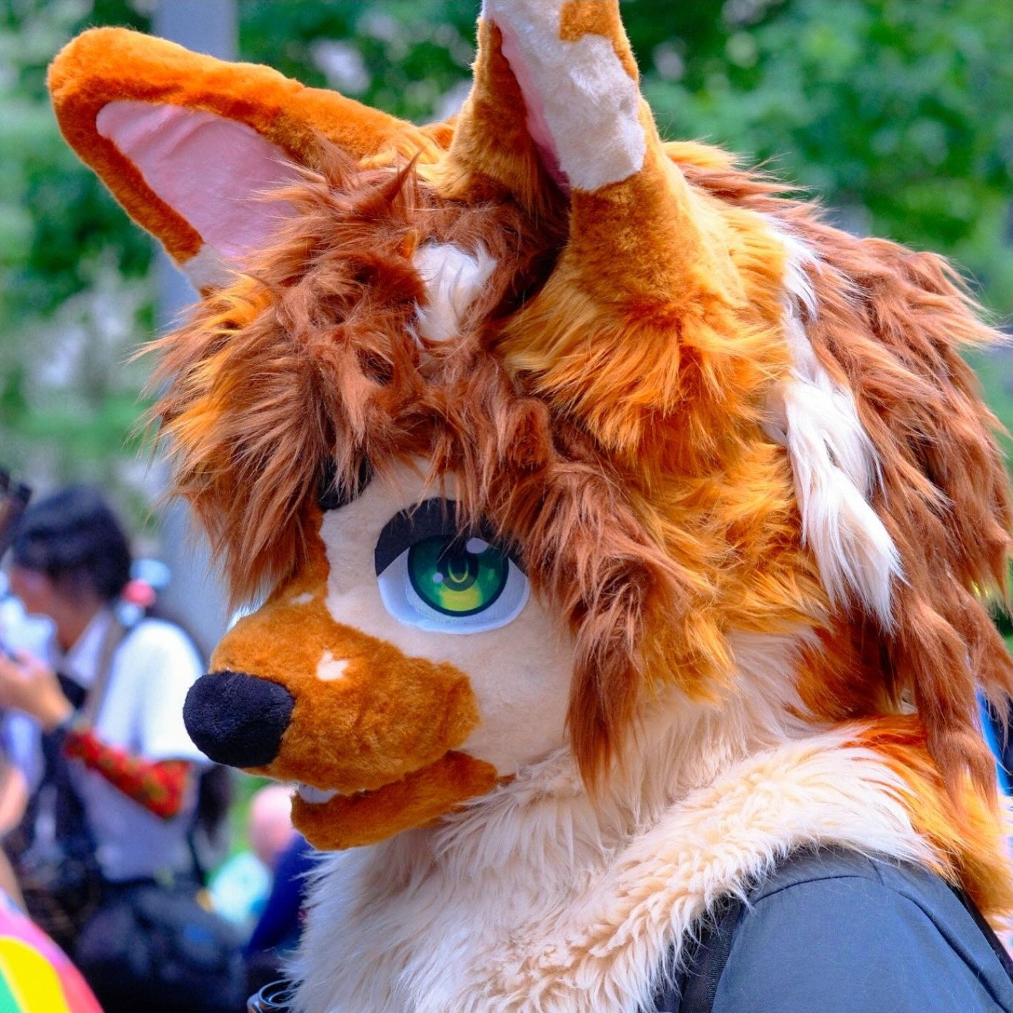 Bread 🍞 🐾