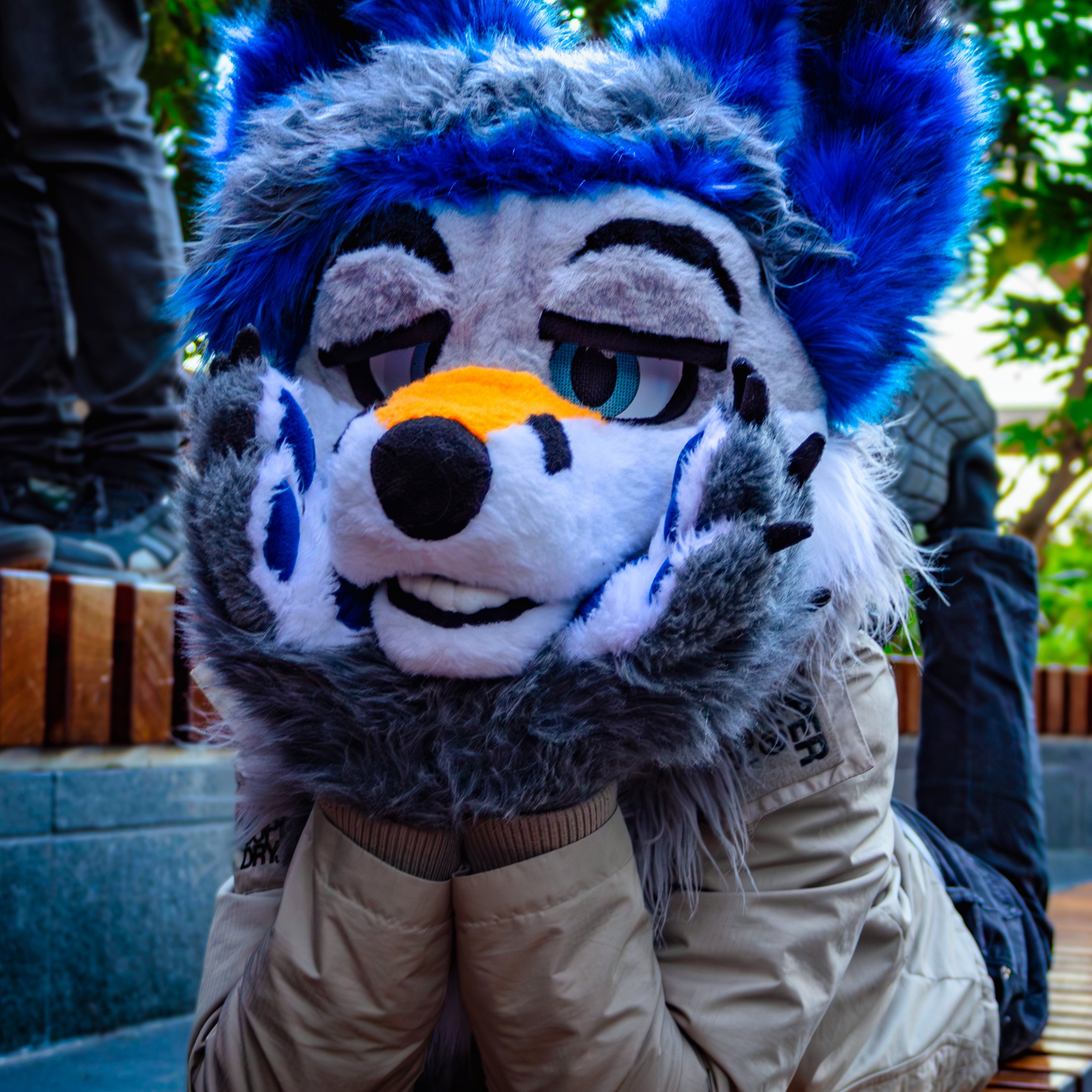 Adamski Fox