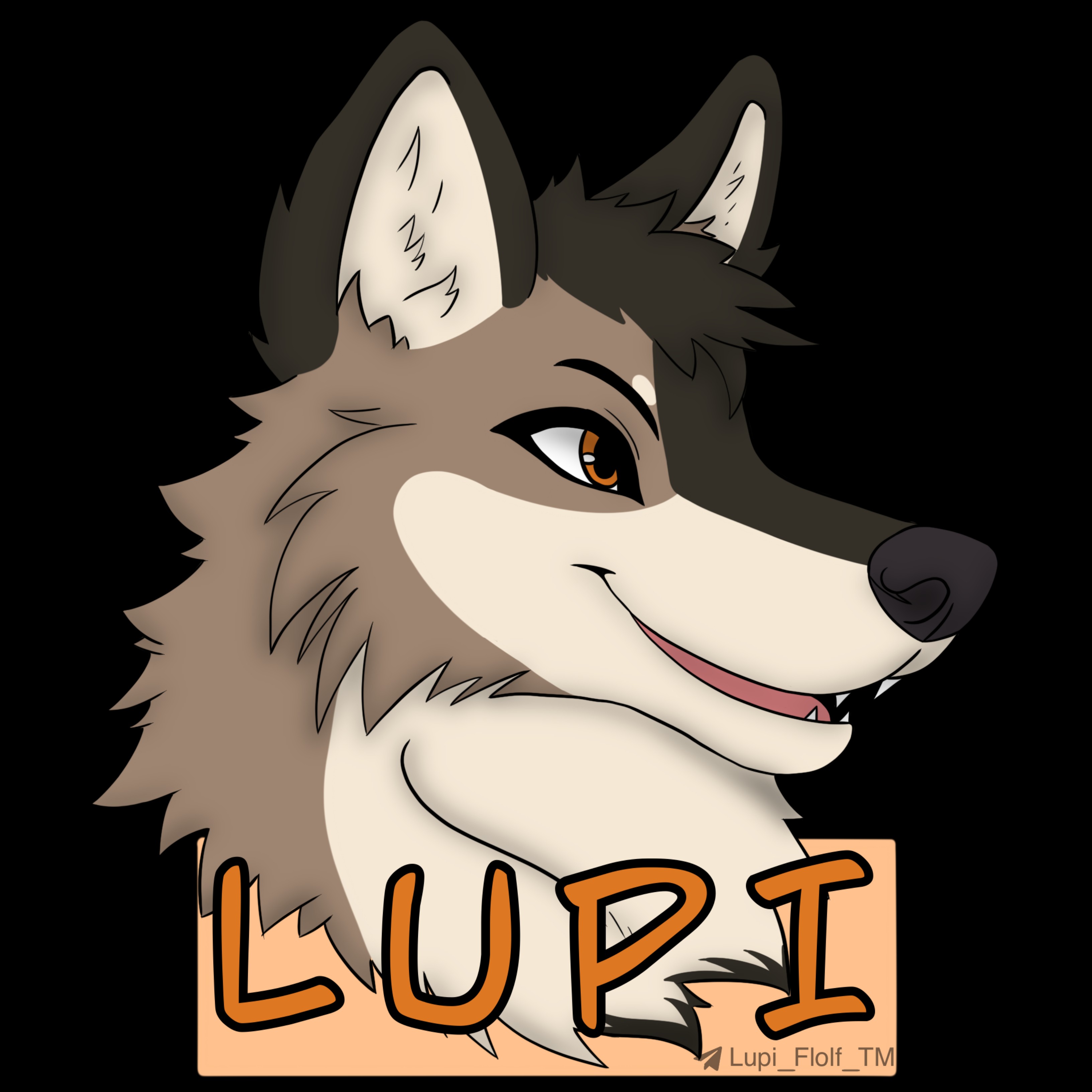Lupi