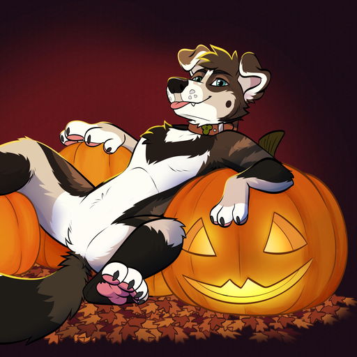 Lennox 🇦🇹 🐾