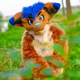 Hieta🦊 