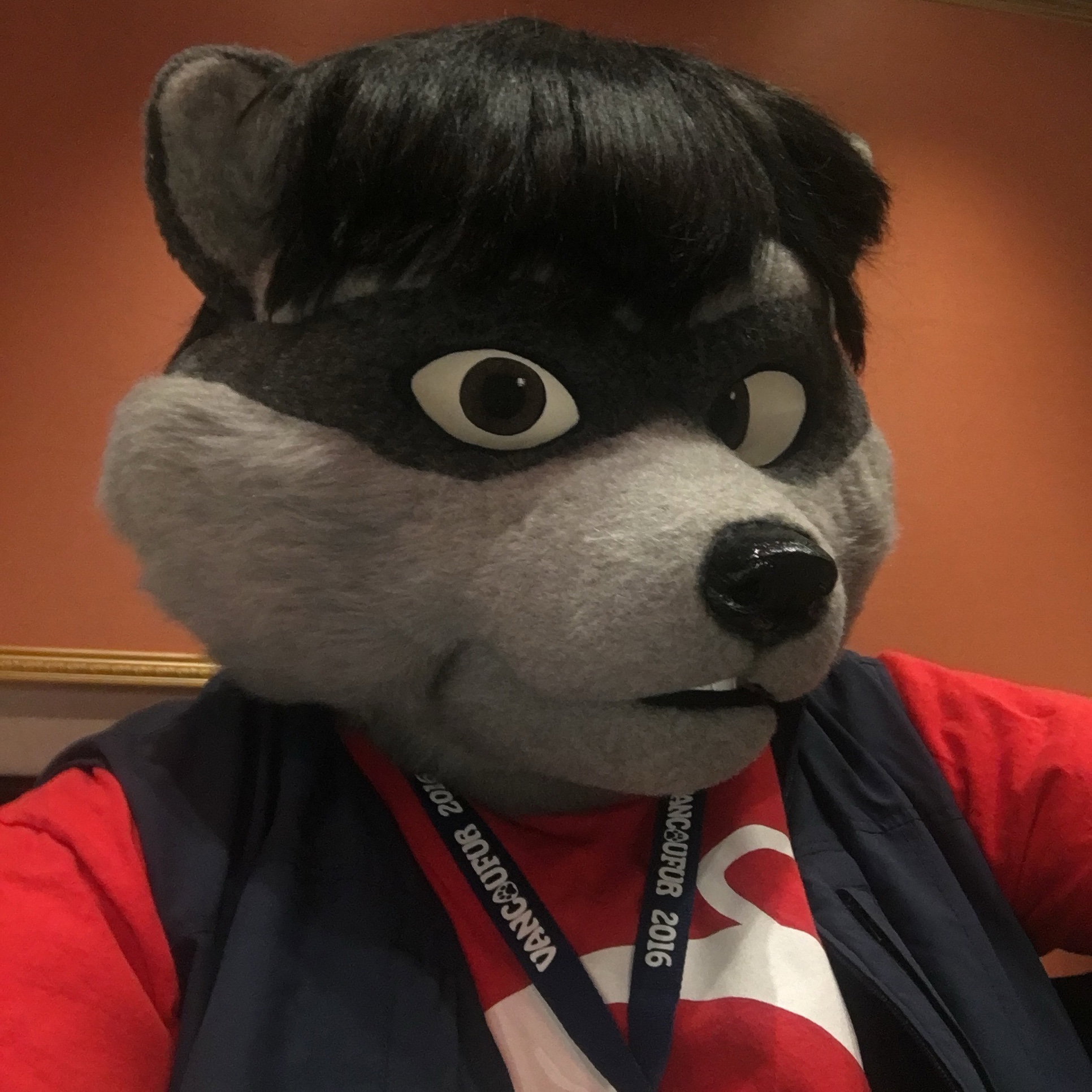 Jack Raccoon