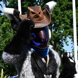 Badger