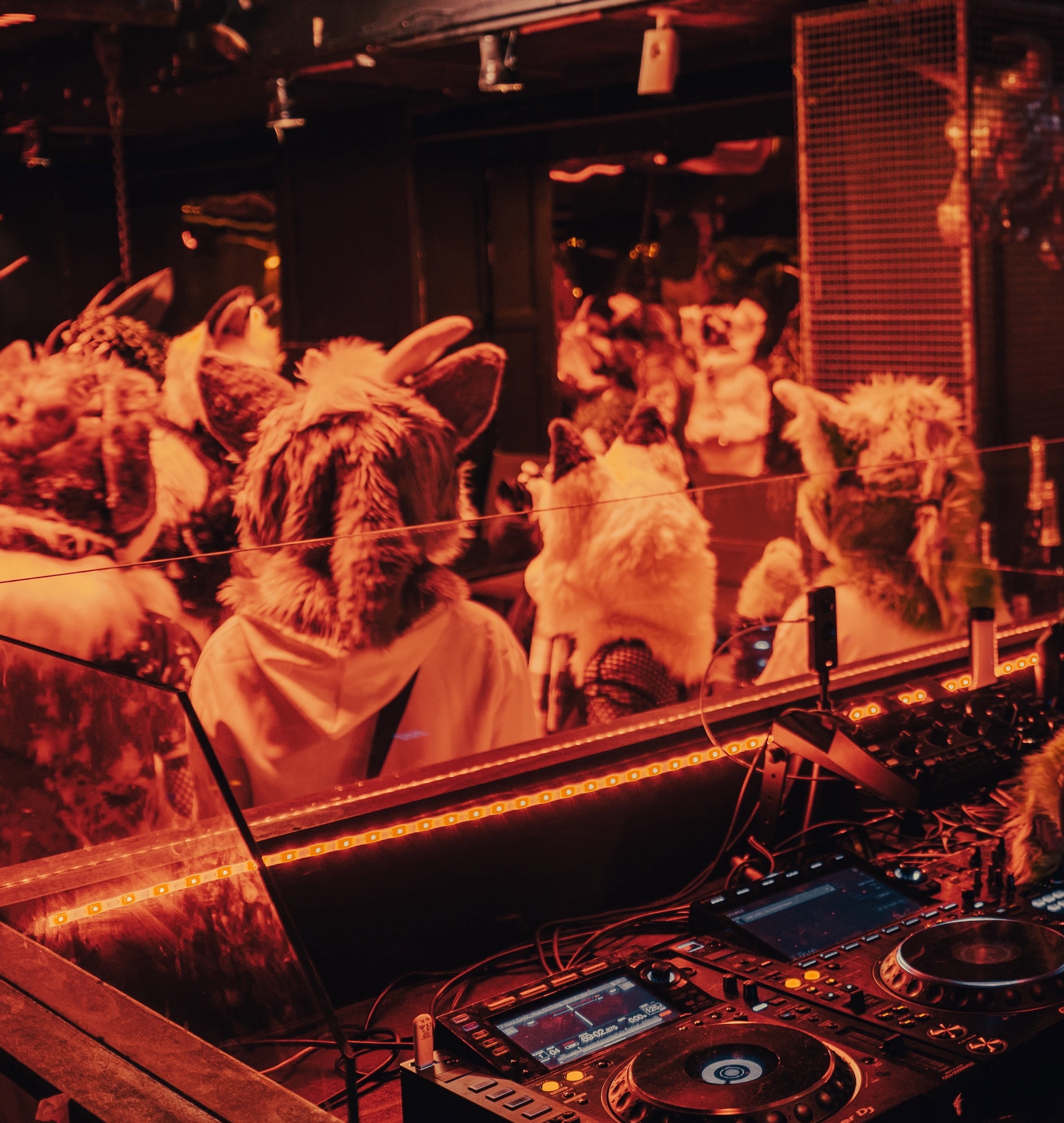 [CFC] Copenhagen Autumn Furdance 2026