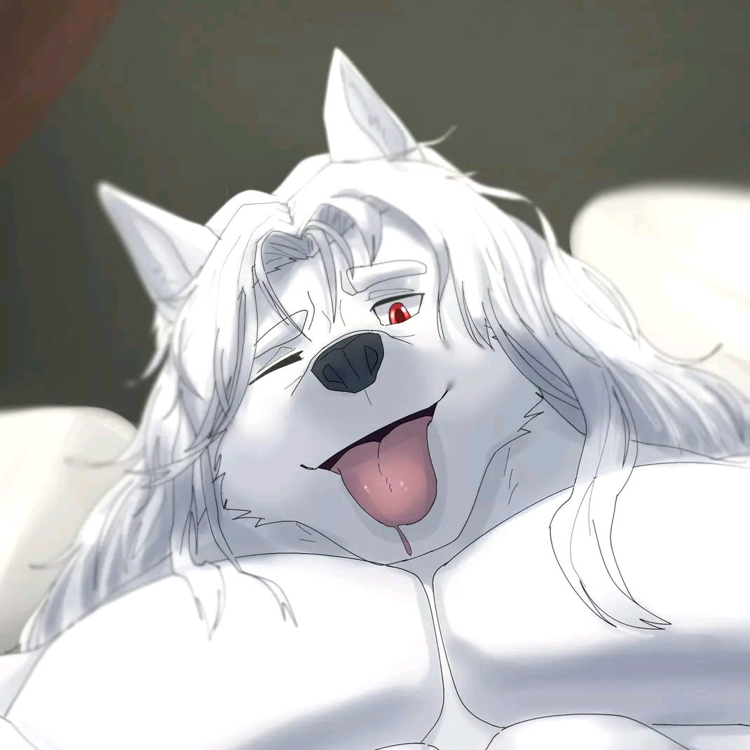 Bruno O'Donnell - The Bara Arctic Wolf 💪🐺