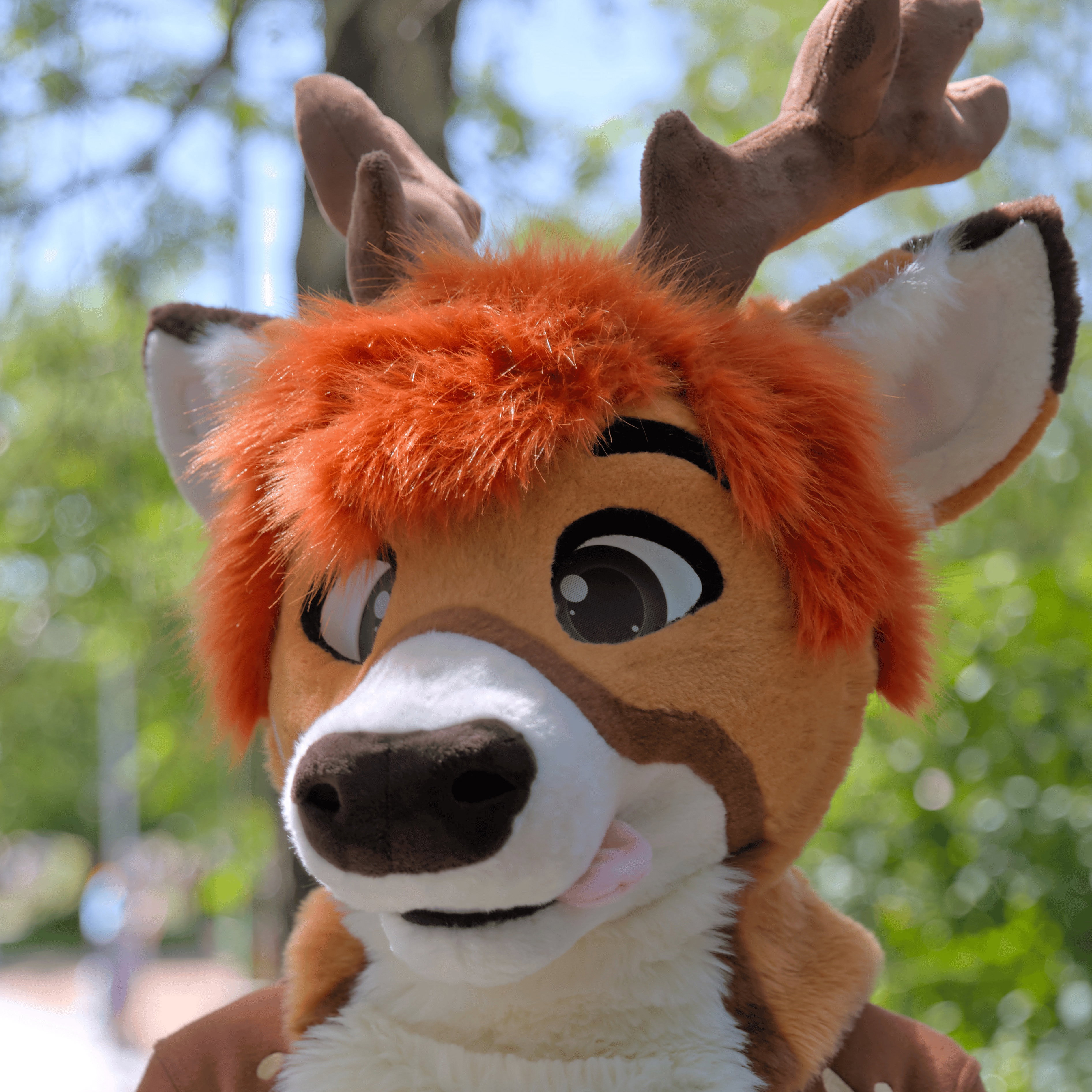 Calba 🔜 Eurofurence
