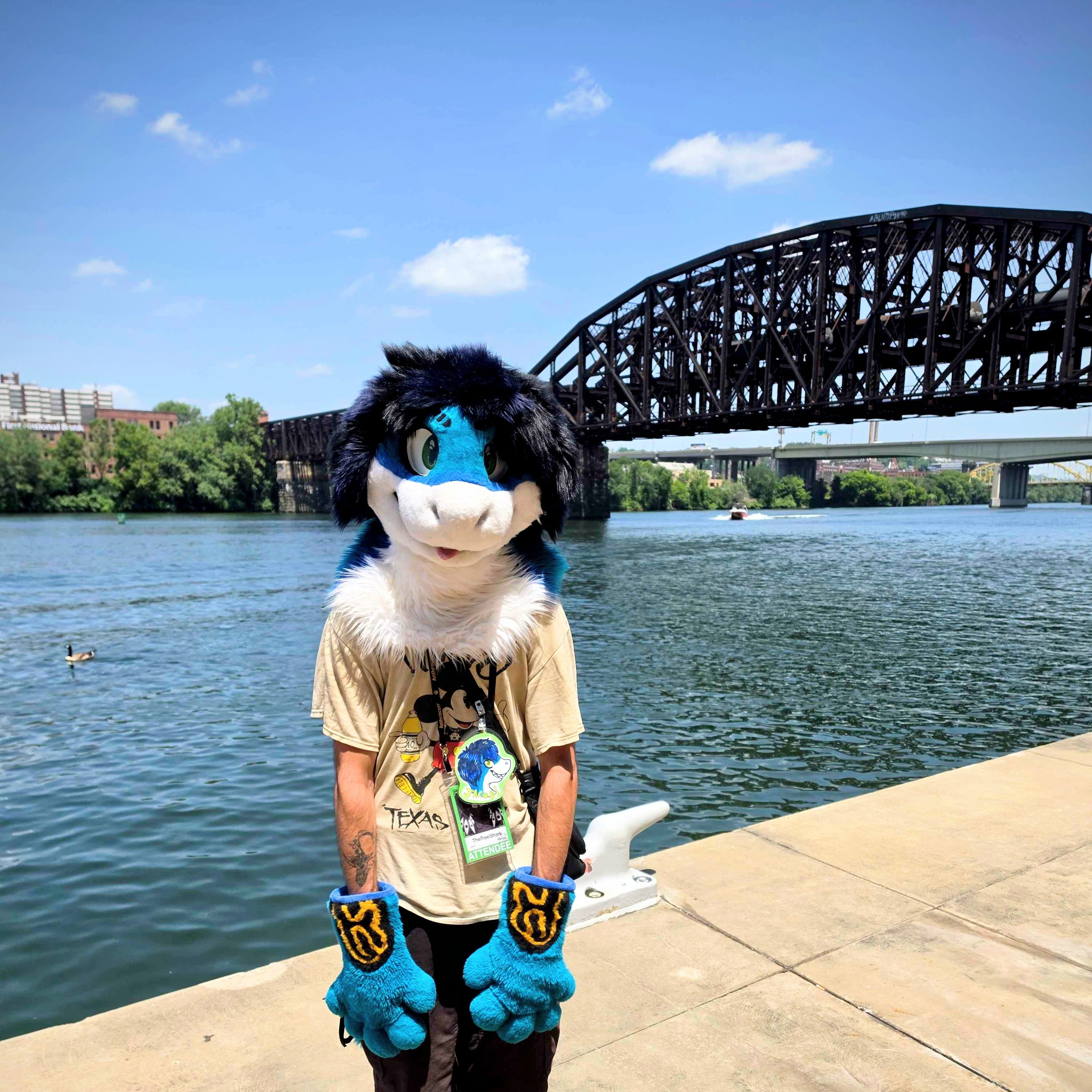 🌴🦈TreeShark🌲🦈‎