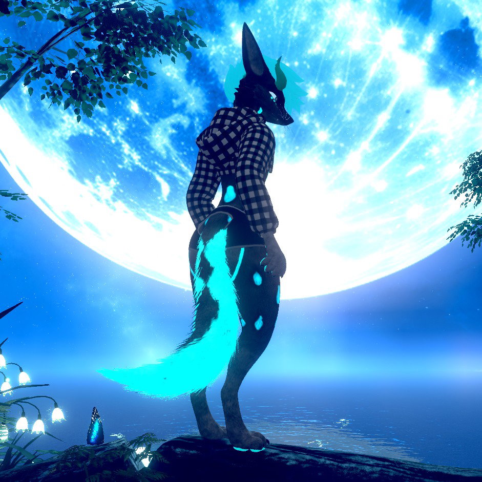 Rywolf321 