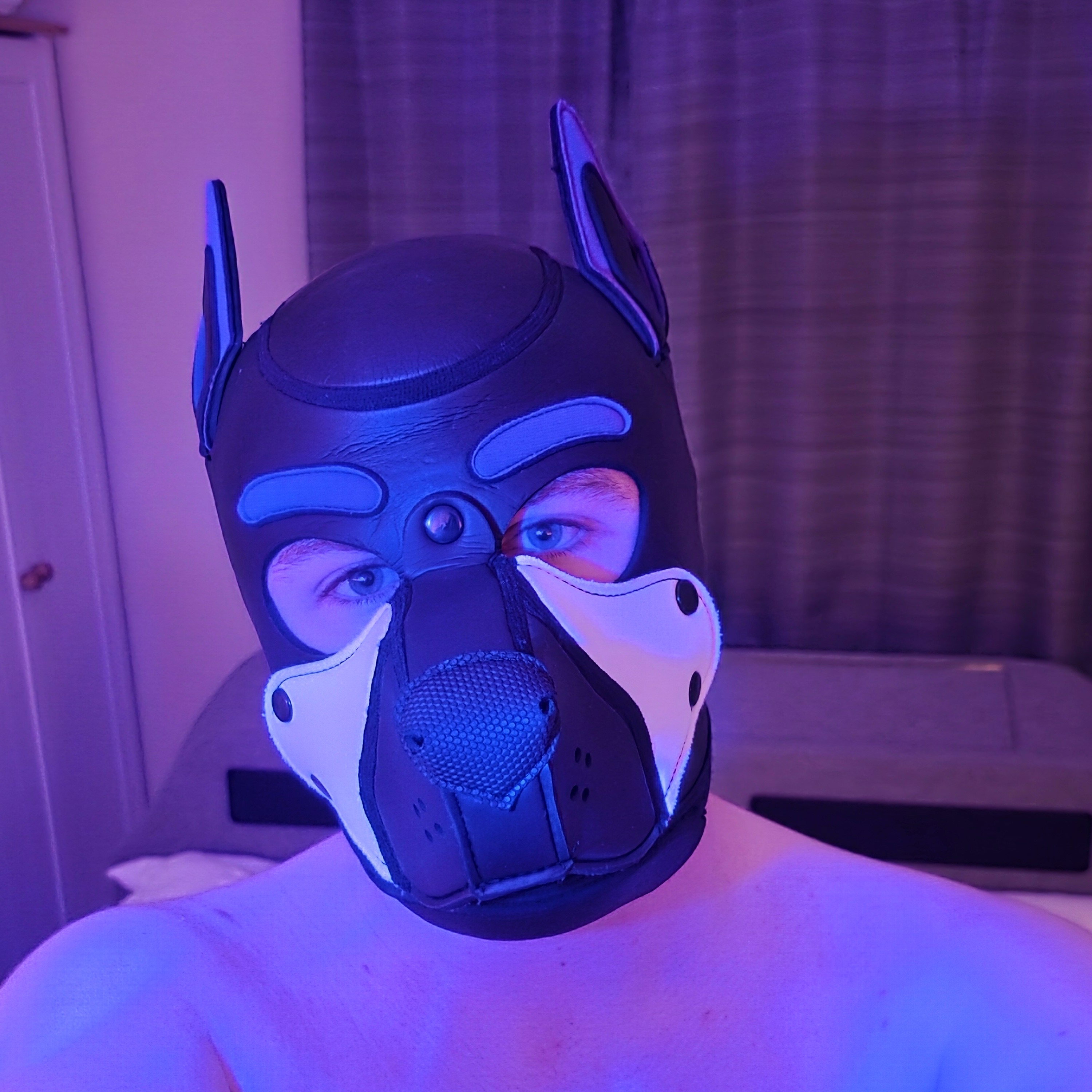 Pup Mercury