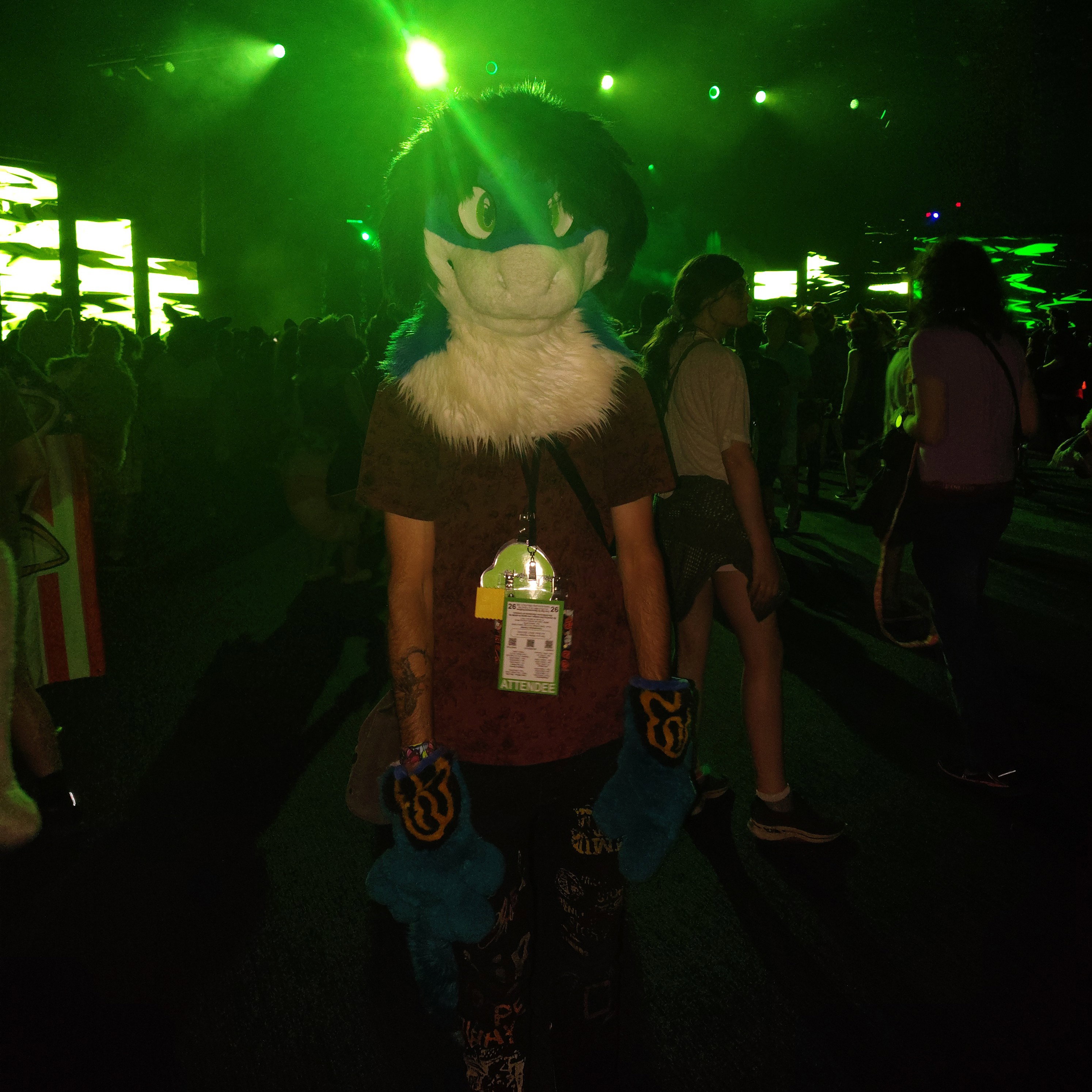 🌴🦈TreeShark🌲🦈‎