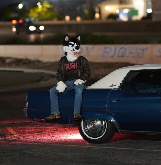 🐾 Cars, Claws, and Caffeine – Furry Car Meet ☕🚗