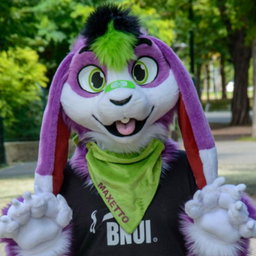 Maxetto